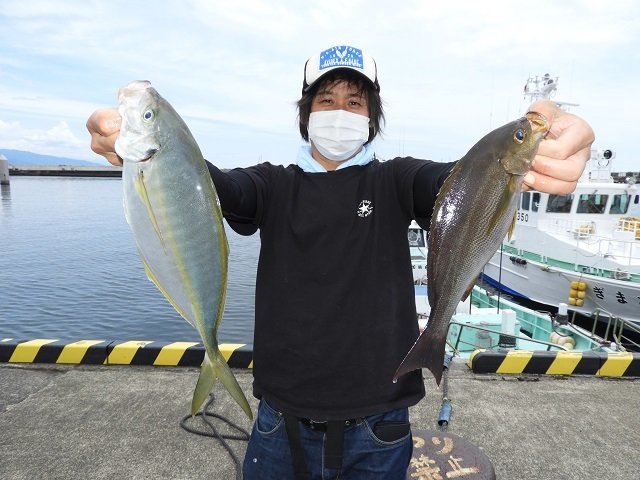 イサキ38cm 匹 の釣果 年6月日 加納丸 静岡 伊東港 釣割