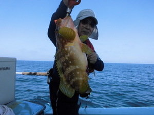 イトヨリ の釣果 年6月23日 Gyosui 福岡 姪浜漁港 釣り船予約 釣割