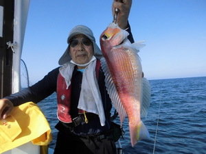 イトヨリ の釣果 年6月23日 Gyosui 福岡 姪浜漁港 釣り船予約 釣割