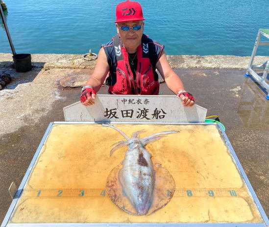 アオリイカ2 30kg 1匹 の釣果 年6月24日 坂田渡船 和歌山 釣割