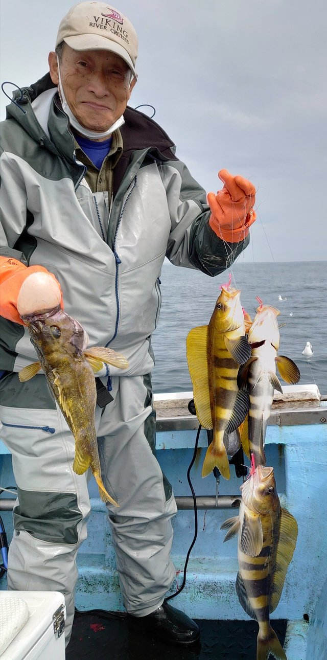 ホッケ の釣果 年6月25日 第新生丸 北海道 釣割