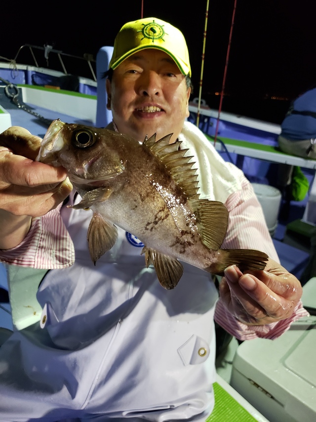 カサゴ26cm 113匹 の釣果 年6月27日 洋平丸 千葉 釣割