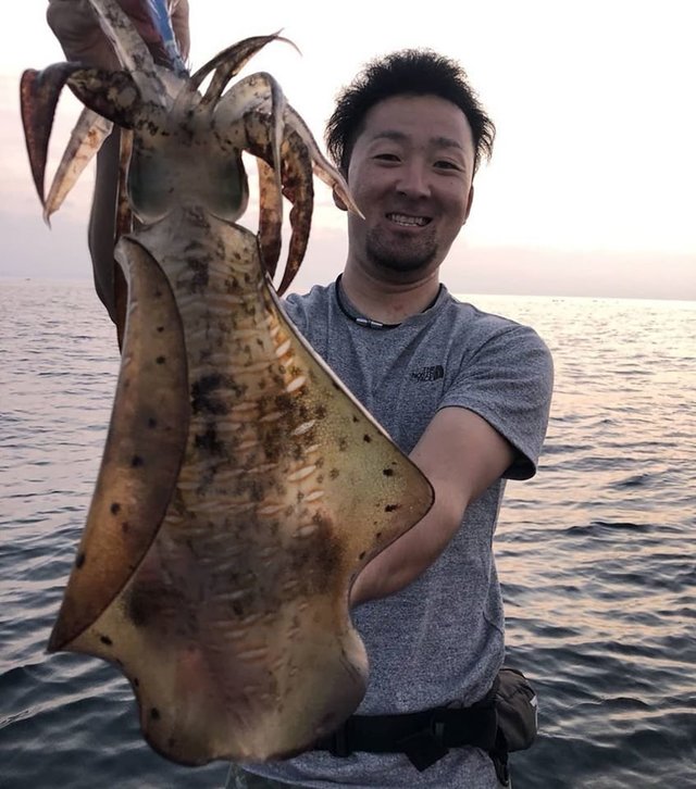 アオリイカ の釣果 年6月28日 第二緑龍丸 神奈川 岩港 釣り船予約 釣割