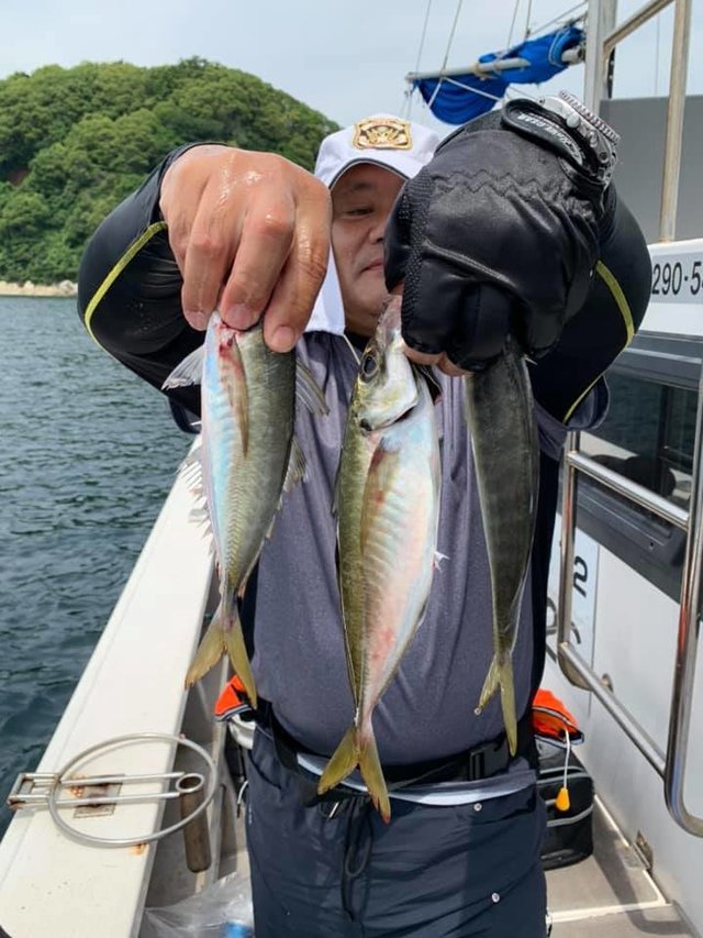 アジ の釣果 年6月28日 船井丸 広島 丹那漁港 釣り船予約 釣割