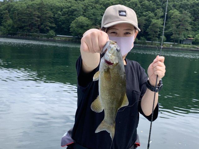 スモール の釣果 年7月1日 木崎湖モダンボート 長野 木崎湖 釣割