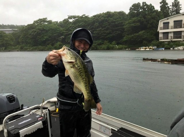 バス48cm 1匹 の釣果 年6月30日 芦ノ湖フィッシングセンター おおば 神奈川 芦ノ湖 釣割