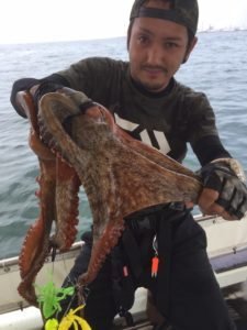 タコ の釣果 年7月5日 村由丸 兵庫 林崎漁港 釣り船予約 釣割