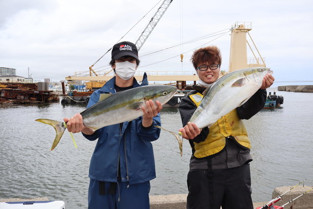 メジロ79cm 5匹 の釣果 年7月9日 魚英 兵庫 釣割