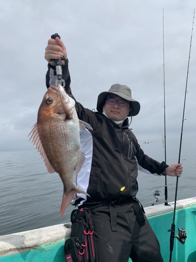 マダイ2 50kg 1匹 の釣果 年7月12日 植田丸 茨城 釣割