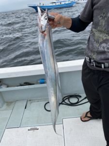 タチウオ の釣果 年7月16日 けやき丸 埼玉 荒川笹目橋 船釣り予約 キャスティング船釣り予約