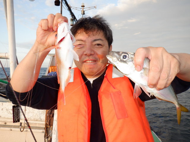 アジ の釣果 年7月16日 さざなみ丸 京都 久美浜港 釣割