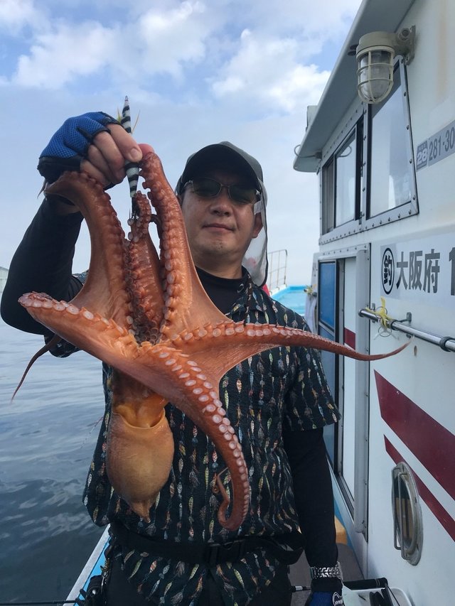 タコ 35匹 の釣果 年7月18日 太丸 大阪 出島漁港 釣り船予約 釣割