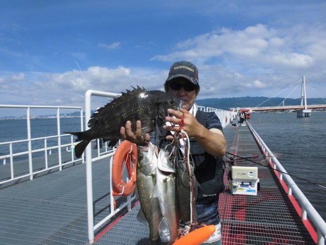 チヌ49cm 2匹 の釣果 年7月22日 尼崎市立魚つり公園 兵庫 武庫川沿い 釣割