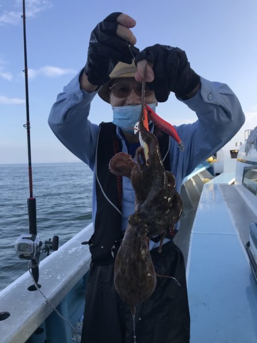 タコ の釣果 年7月22日 松新丸 愛知 片名漁港 釣り船予約 釣割