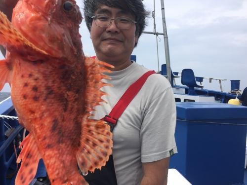 カサゴ1 70kg 4匹 の釣果 年7月28日 敷嶋丸 千葉 大原港 釣割