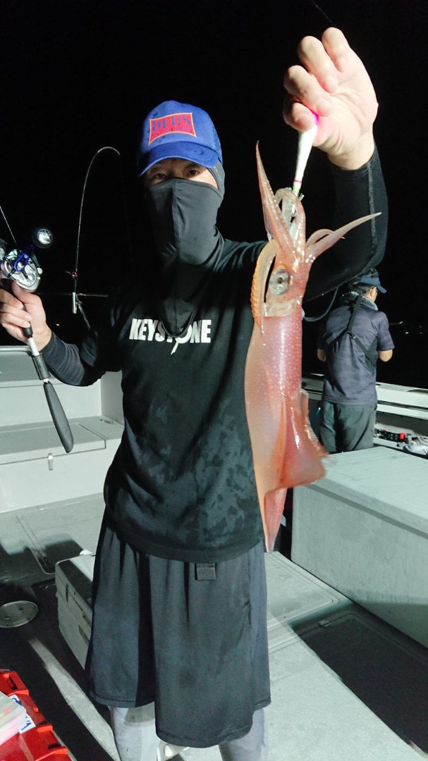 ヤリイカ の釣果 年7月28日 宝生丸 福岡 大里漁港 釣り船予約 釣割