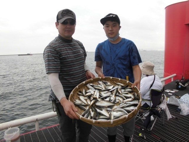 サバ24cm 匹 の釣果 年7月30日 尼崎市立魚つり公園 兵庫 武庫川沿い 釣割