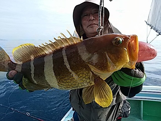 アオナ3 00kg 6匹 の釣果 年7月29日 大福丸 地島 福岡 鐘崎港 船釣り予約 キャスティング船釣り予約