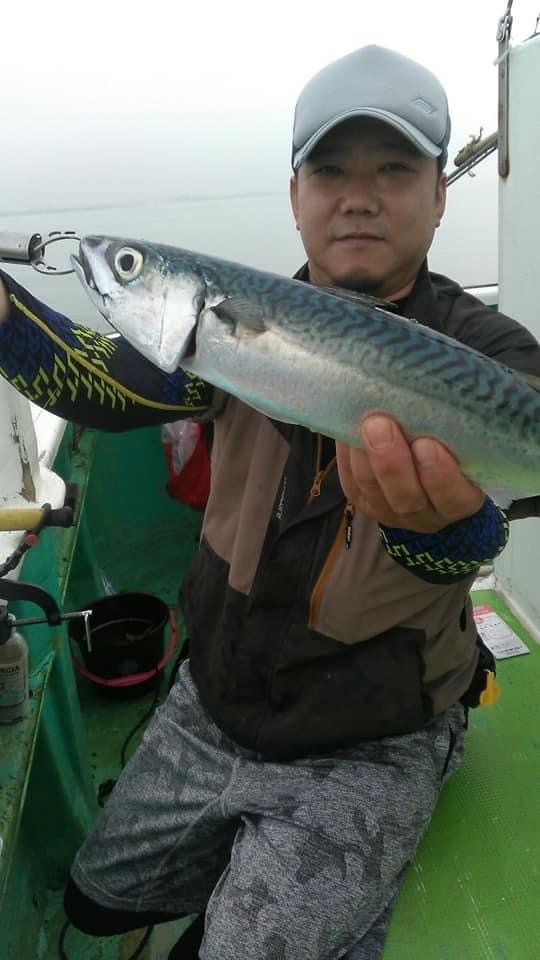 サバ の釣果 年7月31日 かりゆし丸 神奈川 平塚港 釣り船予約 釣割