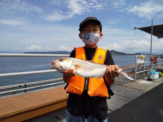 カンパチ45cm 1匹 の釣果 年8月1日 福岡市海づり公園 福岡 その他 釣割