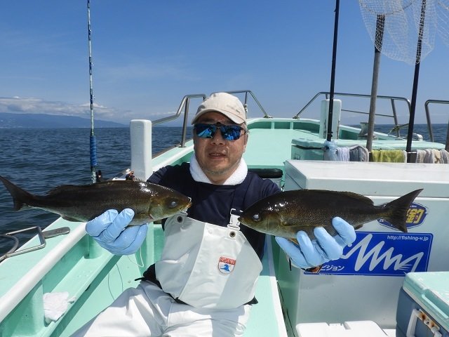 イサキ36cm 33匹 の釣果 年8月2日 加納丸 静岡 伊東港 釣割