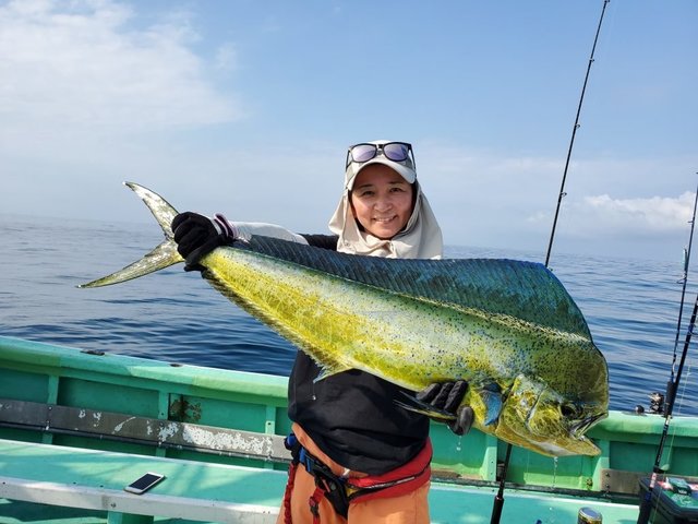 シイラ95cm 8匹 の釣果 年8月2日 ふじなみ丸 静岡 安良里港 釣り船予約 釣割