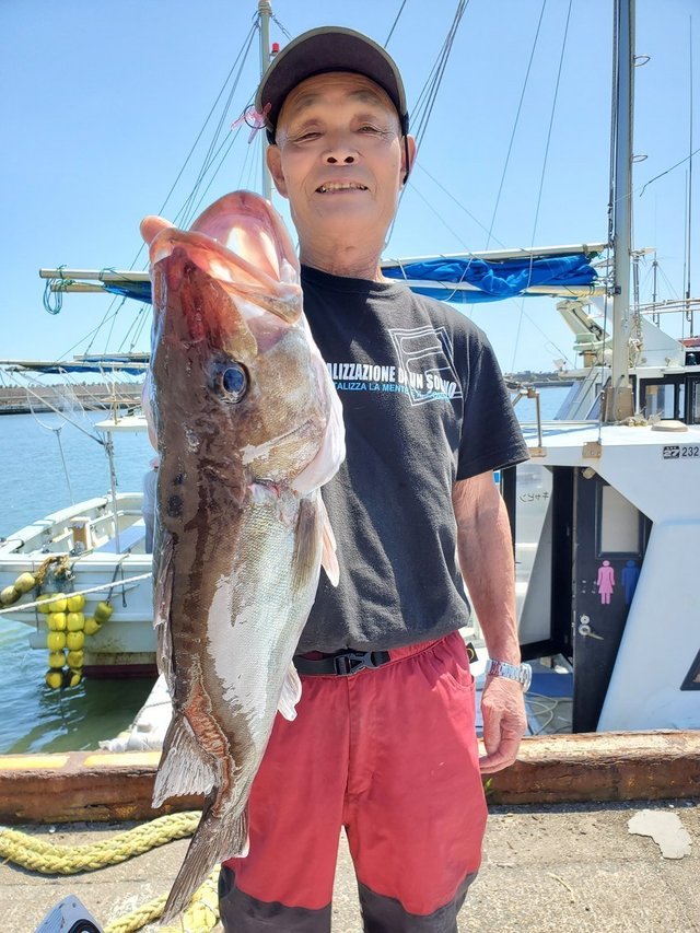 アラ2 50kg 1匹 の釣果 年8月3日 清勝丸 千葉 飯岡港 釣割