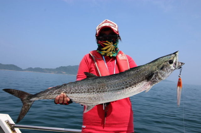 ヤズ の釣果 年8月5日 ﾙｱｰ船 西岡遊漁 愛媛 釣割