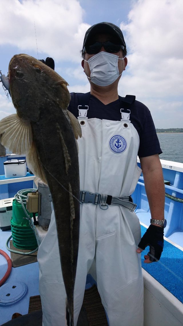 マゴチ54cm 6匹 の釣果 年8月6日 幸栄丸 茨城 鹿嶋旧港 釣り船予約 釣割