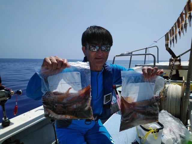 スルメ27cm 126匹 の釣果 年8月6日 岡安丸 愛知 神島 釣割