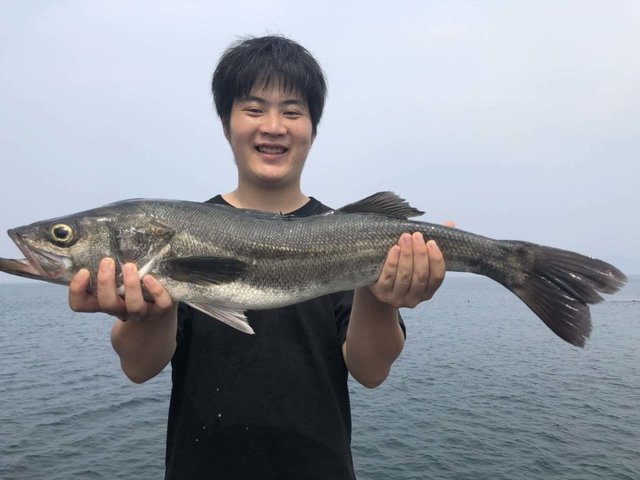 スズキ74cm 1匹 の釣果 2020年8月7日 福岡市海づり公園 福岡 その他 釣割