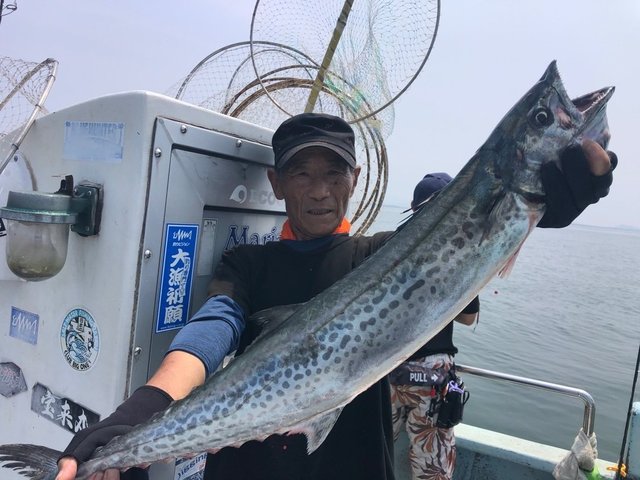 サワラ95cm 7匹 の釣果 年8月8日 政宝丸 愛知 大井漁港 釣り船予約 釣割