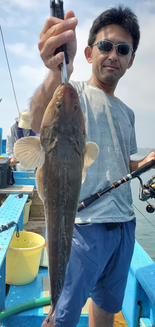 マゴチ51cm 6匹 の釣果 年8月15日 宗和丸 茨城 釣割