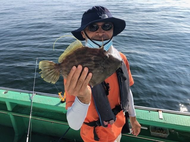 カワハギ 5匹 の釣果 年8月15日 山下丸 神奈川 久比里港 釣り船予約 釣割