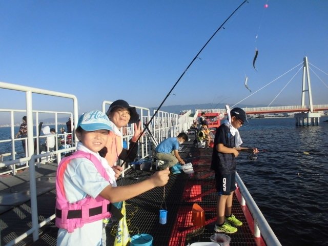 チヌ46cm 5匹 の釣果 年8月15日 尼崎市立魚つり公園 兵庫 武庫川沿い 釣割