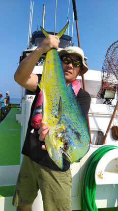 シイラ171cm 匹 の釣果 年8月15日 庄治郎丸 神奈川 平塚港 釣割