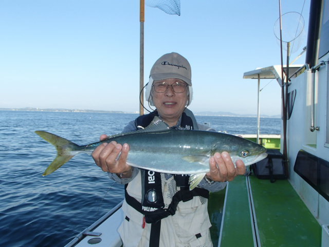 ワラサ2 50kg 2匹 の釣果 年8月日 浜福丸 神奈川 釣割