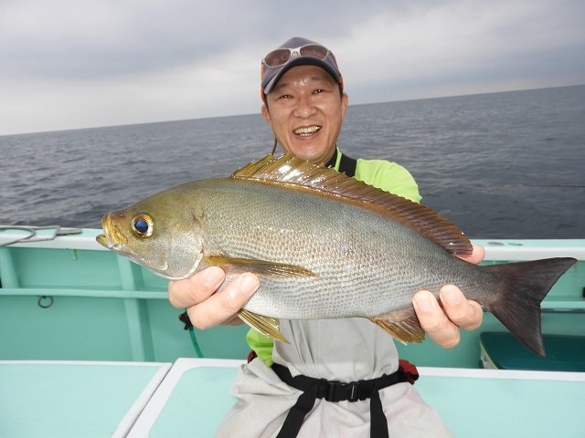 イサキ40cm 31匹 の釣果 年8月23日 加納丸 静岡 伊東港 釣割