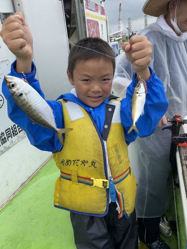 アジ27cm 95匹 の釣果 年8月23日 かめだや 東京 羽田港 船釣り予約 キャスティング船釣り予約