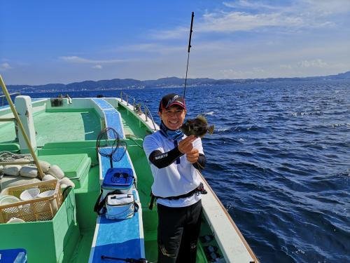 カワハギ24cm 3匹 の釣果 年8月24日 儀兵衛丸 神奈川 釣割