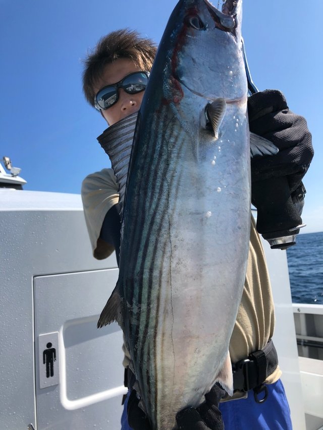 カツオ の釣果 年8月25日 宏昌丸 千葉 川津港 釣り船予約 釣割