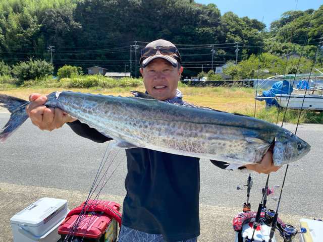 サワラ の釣果 年8月30日 Wing 愛知 釣割