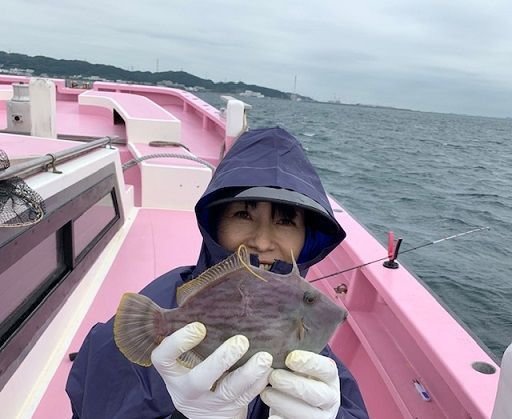 カワハギ 2匹 の釣果 年9月1日 山下丸 神奈川 久比里港 釣り船予約 釣割