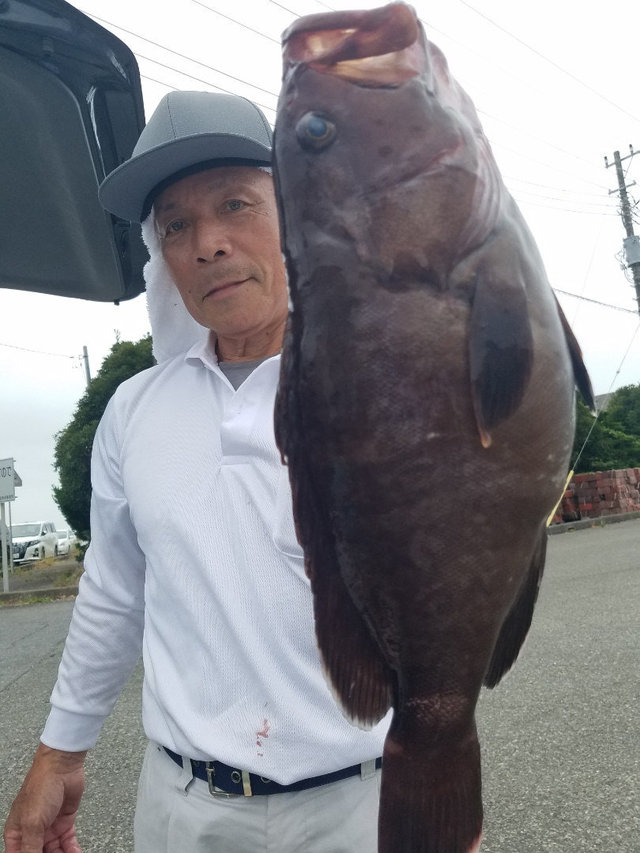 マハタ3 50kg 7匹 の釣果 年9月1日 進誠丸 千葉 大原港 釣割