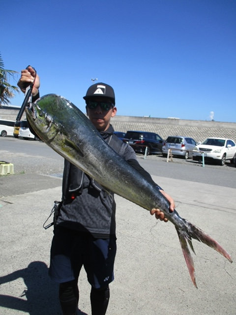 シイラ115cm 45匹 の釣果 年9月4日 庄三郎丸 神奈川 平塚港 釣割