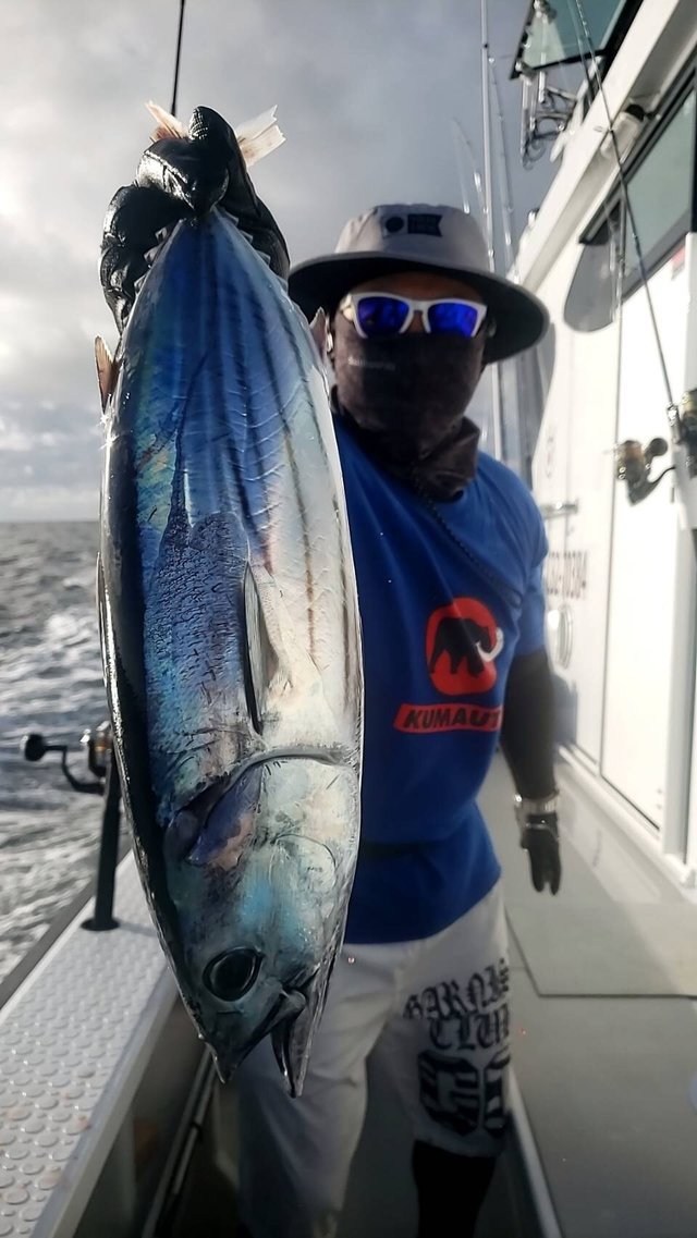 カツオ の釣果 年9月6日 宏昌丸 千葉 川津港 釣り船予約 釣割