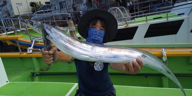 タチウオ110cm 38匹 の釣果 年9月8日 渡辺釣船店 神奈川 横浜港 釣割