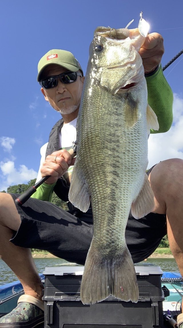 ブラックバス55cm 23匹 の釣果 年9月9日 Fコテージつばきもと 千葉 釣割