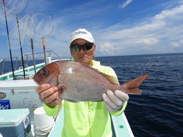 マダイ1 00kg 1匹 の釣果 年9月11日 加納丸 静岡 伊東港 釣割