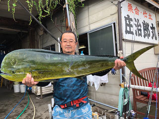 シイラ117cm 127匹 の釣果 年9月13日 庄治郎丸 神奈川 平塚港 釣割